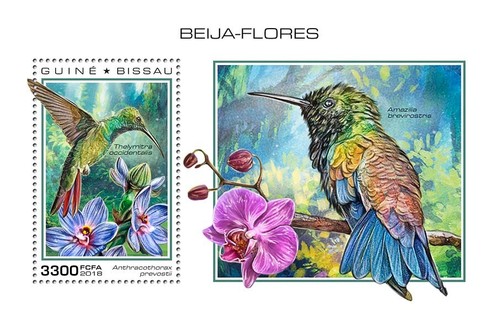 Francobolli colibrì - francobolli,