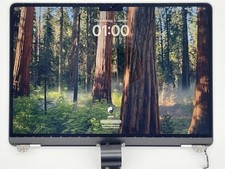 Display LCD originale MacBook