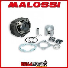 3113067 GRUPPO TERMICO MALOSSI