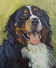 CANE DA MONTAGNA BERNESE