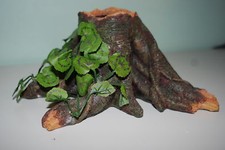 Grande Dettagliato Terrario