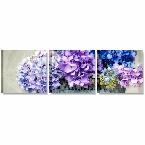 Tris ortensie quadri con - tris,