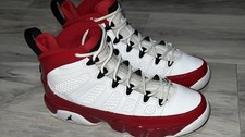 Air Jordan 9 Retro Palestra