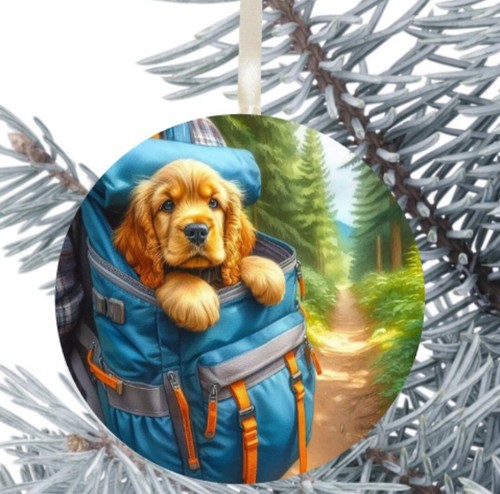 Dorato cocker spaniel cane - cocker,