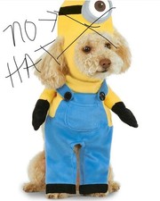 Costume Minion Stuart