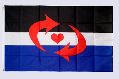 Bandiera switch pride - pride, flag