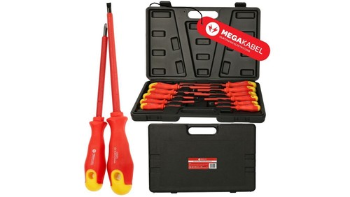 Set cacciaviti elettricista