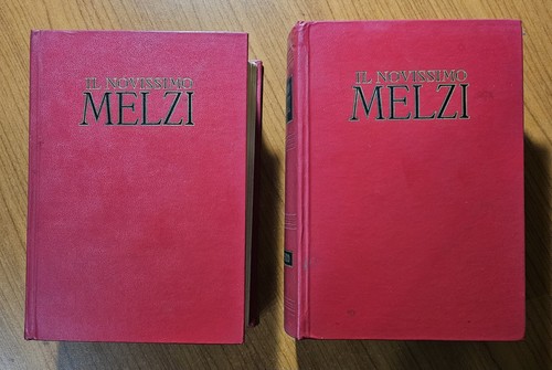 Novissimo melzi dizionario - il,