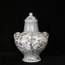 Vasi porcellana blu e bianca