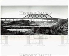 1988 Stampa Foto Scheletro in