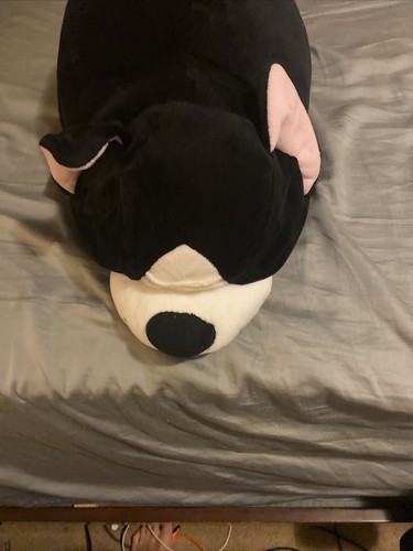 Peluche cane francese