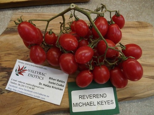 Pomodoro reverendo michael - pomodoro,
