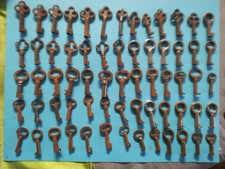 65 piccole chiavi scheletro