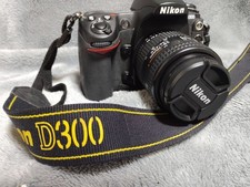 Nikon D300 964951