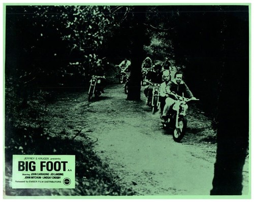 Big foot scheda - foot,