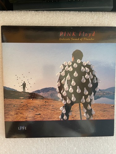 Pink floyd delicate sound of - pink, "delicate