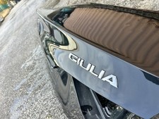 BAULE PORTELLONE COFANO