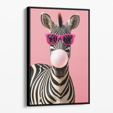 Zebra con occhiali sole - occhiali,
