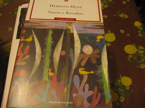 Narciso boccadoro hesse - e,