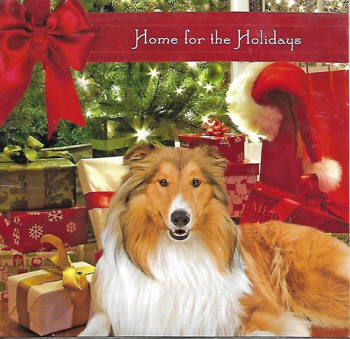 Home for the holidays - home,