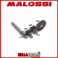 677021 INGRANAGGI RAPPORTI