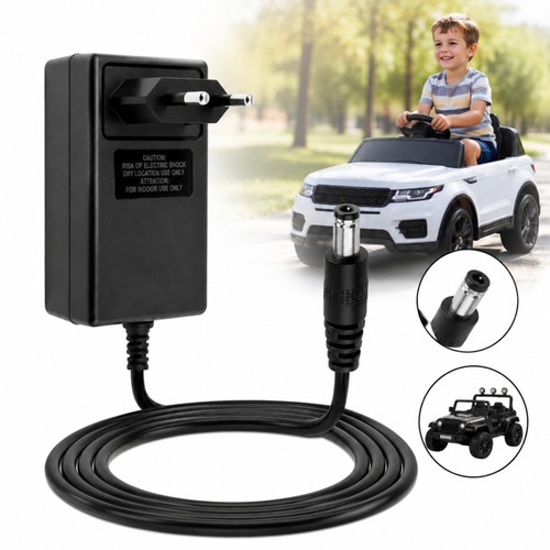 Caricabatteria 24v per auto - caricabatteria,