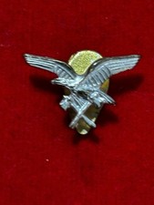 Distintivo da bavero : Corpo