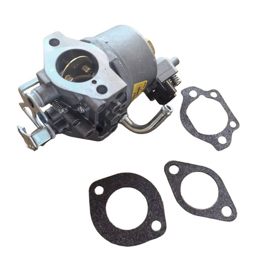 Carburatore per for onan per