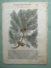 Mattioli Pietro - Stampa