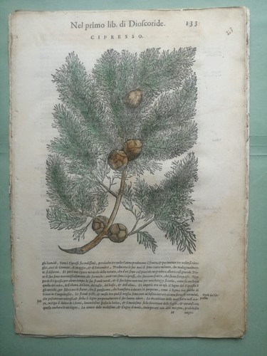 Mattioli pietro stampa - mattioli,