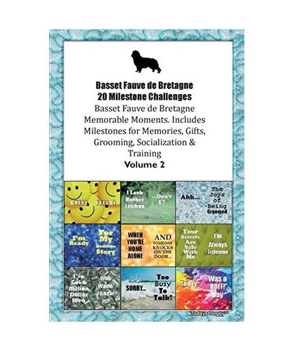 Basset fauve bretagne - fauve,