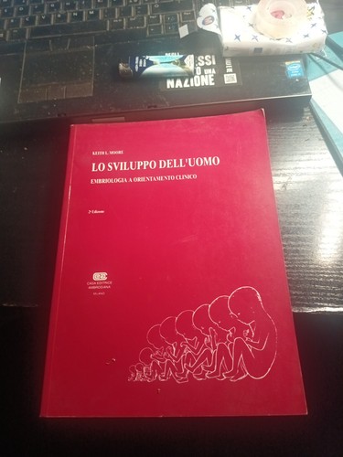 Sviluppo dell uomo - sviluppo, dell'uomo-keith