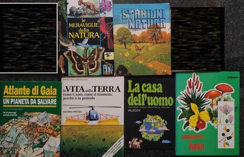 Libri ambiente stagioni - ambiente, le