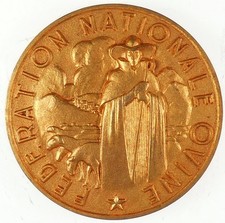 Francia Pastore Pecore