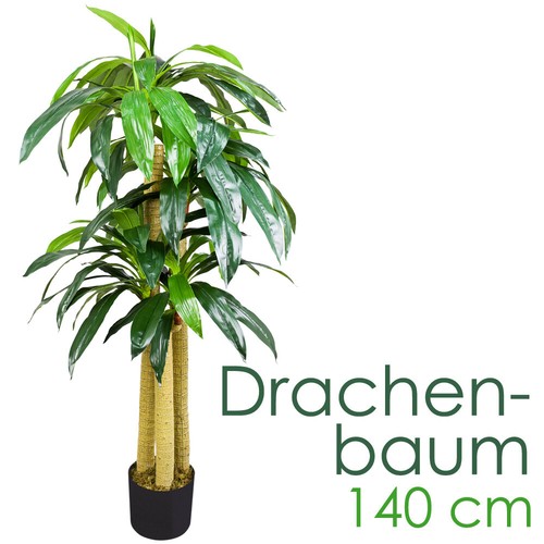 Albero drago pianta finta - albero,