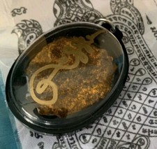 Amuleto Placenta Gatto Soldi