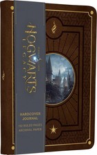 Harry potter hogwarts legacy - potter,