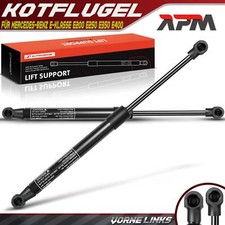 2 molle a gas ammortizzatore