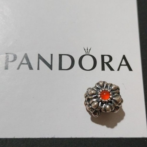 Pandora pensionato argento - pensionato,