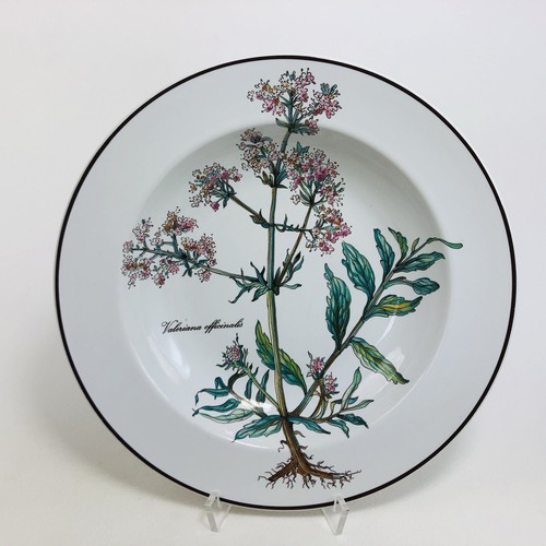 Villeroy boch botanica 4 x - boch,