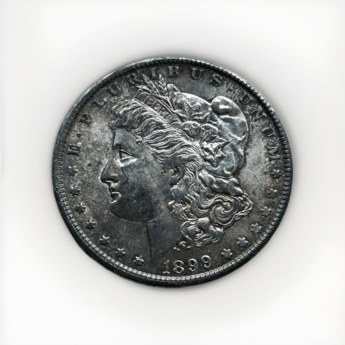 Dollaro morgan 1899 - morgan, orleans