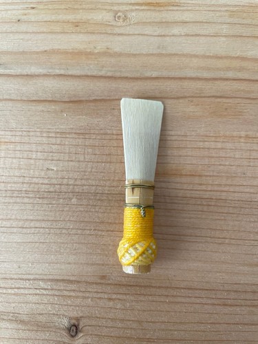 Canna fagotto - canna, di