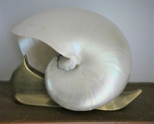 SCULTURA  " LUMACA " OTTONE E NAUTILUS PERLIZZATO