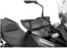 Paramani paramani BMW G310 R