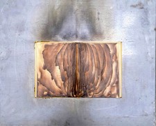 Bernard Aubertin Livre Brûlé