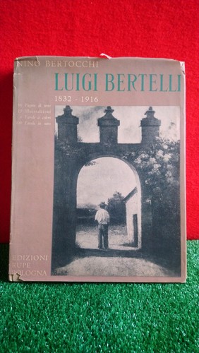 Libro nino bertocchi - nino, luigi
