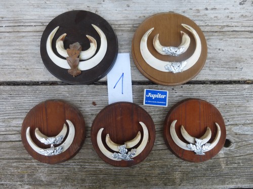 Set denti cuneo - 5, a