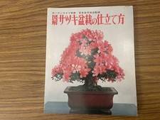 Illustrated pruning azaleas - illustrated,