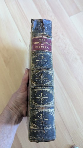 1868 the insect - the, world