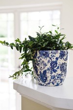Ivyline vaso per - ivyline,